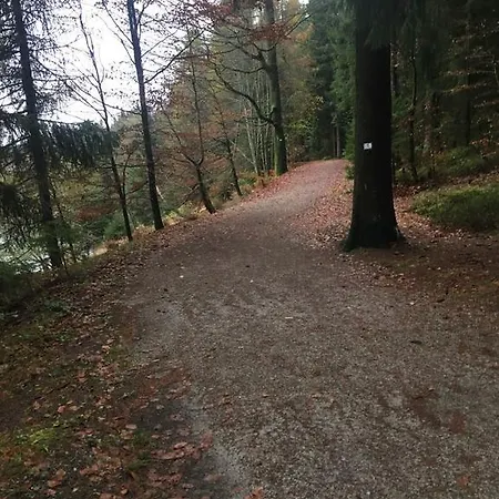 Amaron Penzion Fichtelberg